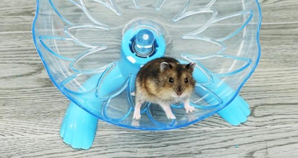 toy hamster with wheels