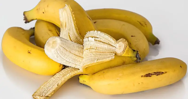 Can gerbils eat bananas