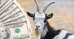 How much does a goat cost