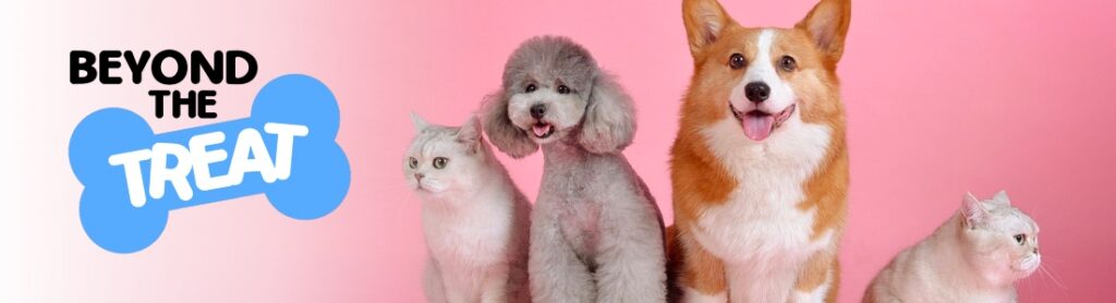 What Eats Foxes? Ultimate List of Fox Predators (9 Examples)